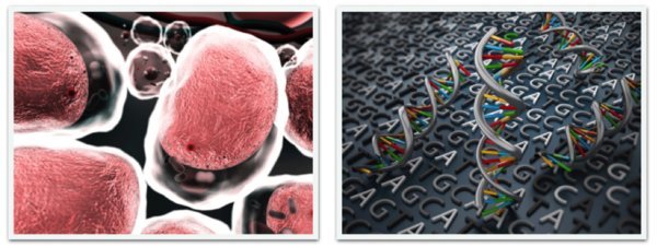 Noncoding RNAs and Energy Homeostasis Noncoding RNAs and Energy Homeostasis