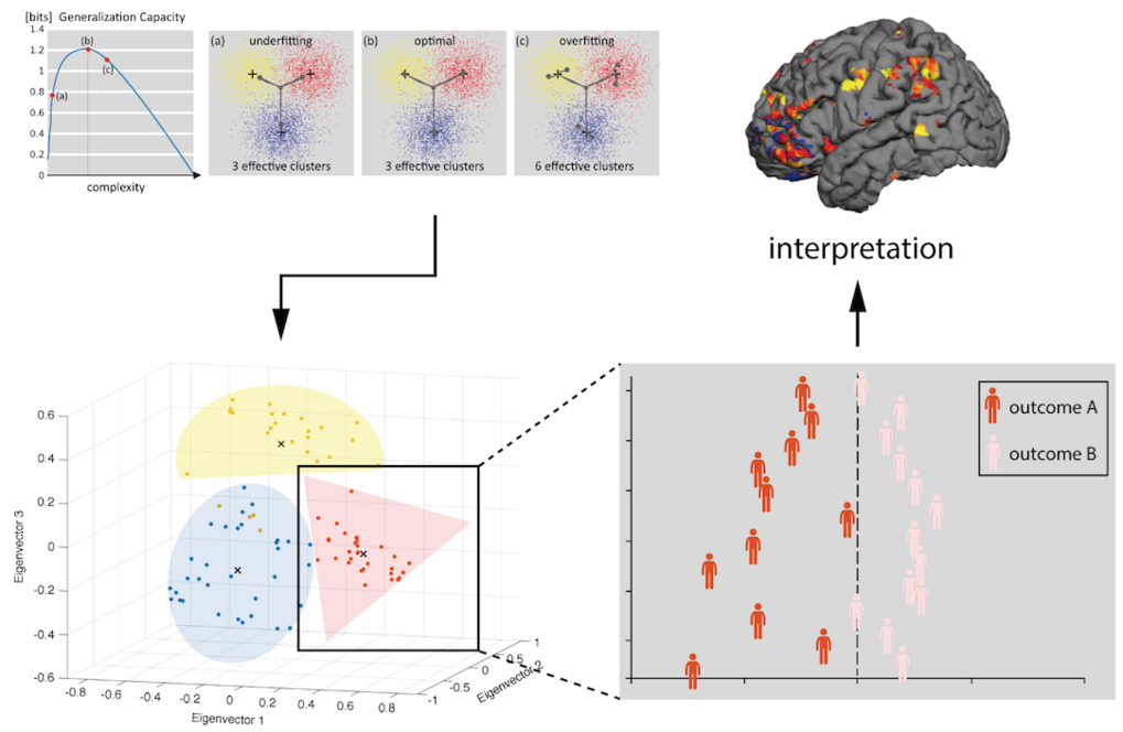 Fig. 4. Computational assays are applied to individualized data (neuroimaging, electrophysiology, behaviour) to yield predictive models. These models may be embedded with multivariate analyses, which are utilized to estimate the optimal fit for subsequent unsupervised as well as supervised machine-learning analyses. This computational structure enables mechanistically interpretable predictions about behavioral or clinical states.