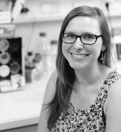 Dr. Sophie Steculorum