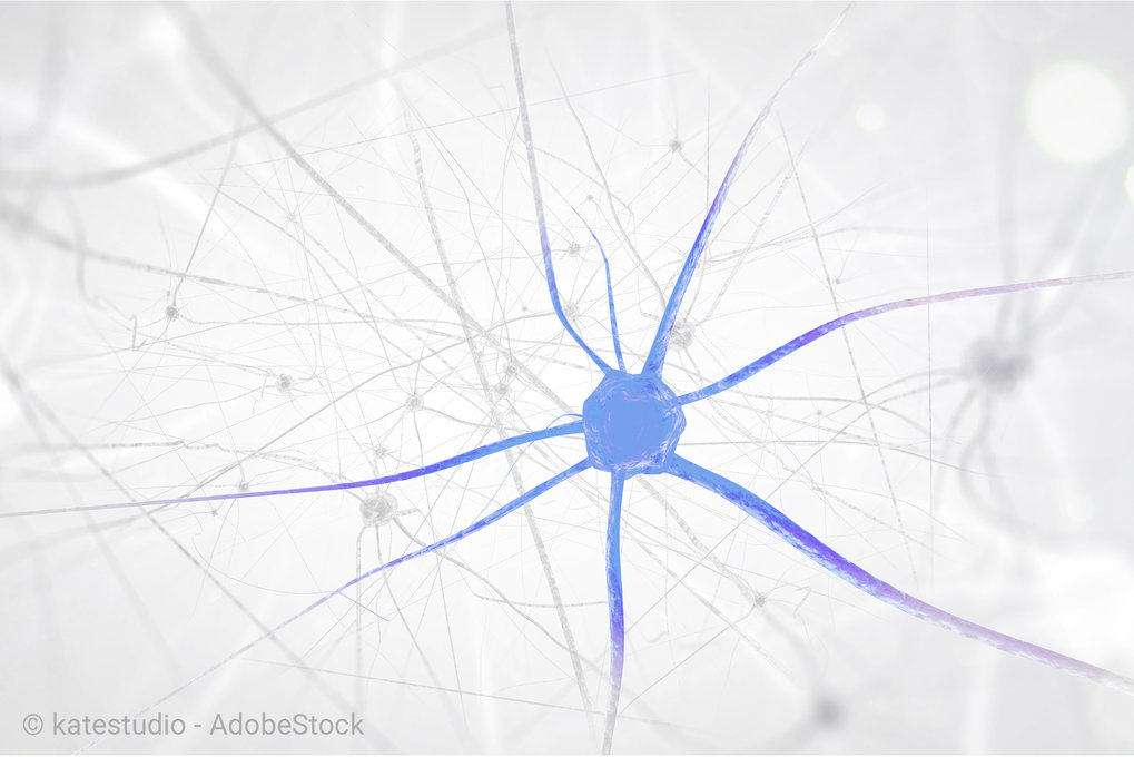 Welche neuronalen Schaltkreise sind im Stoffwechsel involviert?