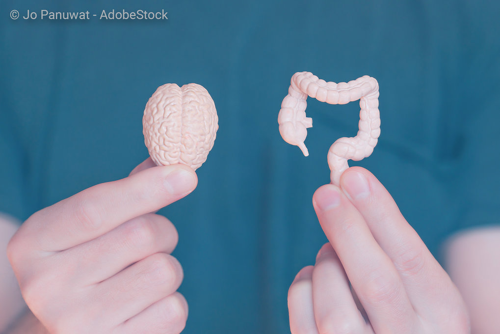 How do the gut and brain influence each other?