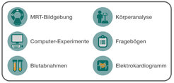 Sechs Symbole, die verschiedene Forschungsmethoden veranschaulichen: MR-Bildgebung, Körperzusammensetzungsanalyse, Computerexperimente, Fragebögen, Blutabnahmen und Elektrokardiogramme.